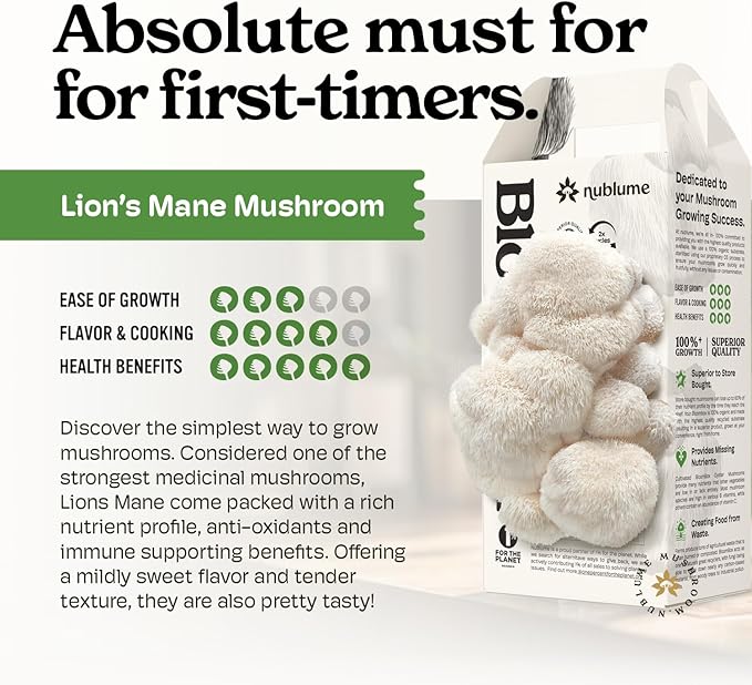 Lion's Mane Mushroom Grow Kit | Grow Your Own Fresh Gourmet Mushrooms at Home | Edible Indoor Mushroom Growing Kits Great Gift