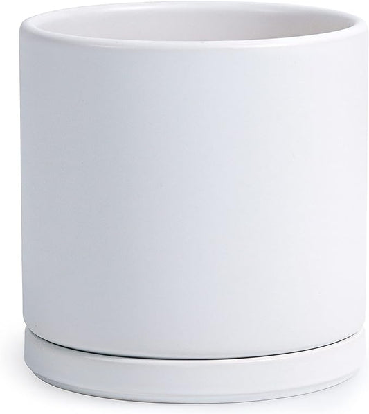 D'vine Dev 8 Inch Ceramic Planter Pot with Drainage Hole and Saucer, Indoor Cylinder Round Planter Pot, White, 94-O-D-1