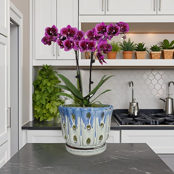Ceramic Orchid Pot with Drainage Hole 6'' Orchid Planter (Blue Cover White)