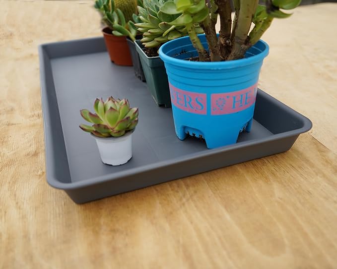 Plant Saucer Growing Tray, Seed Starter Tray Rectangular, Heavy Sturdy Plastic Plant Saucers Drainage Trays, Plant Drip Trays for Pots, Seed Starter Growing Tray (11 x 9 inch, 1 Pack)
