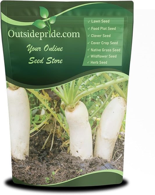 Outsidepride Annual Daikon Radish Seeds - 1 oz. Chinese, Japanese, & Oriental Radish Seeds for Soil Health, Erosion Control, & Soil Aeration - Ideal for Gardens, Cover Crops, Pastures, & Food Plots