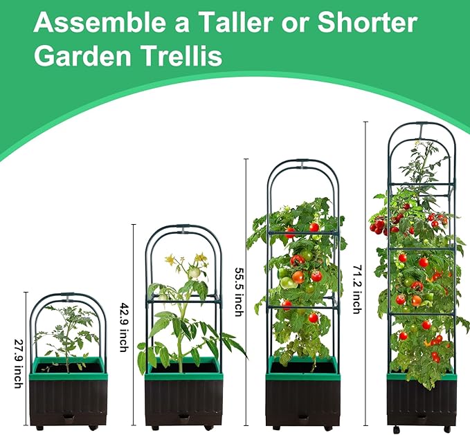 Raised Garden Bed with Self Watering Garden Pots, Planter Box with Trellis for Climbing Plants Vegetable Vine Flowers, Tomato Cage Planter for Indoor Outdoor Yard Greenhouse Use