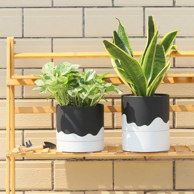 Nihow Ceramic Plant Pot: 6 Inch Planter with Drainage Hole & Saucer for Indoor & Outdoor Plants - Cylinder Round Flower Pot for Succulent/Herbs/Violets - Black & Wave White