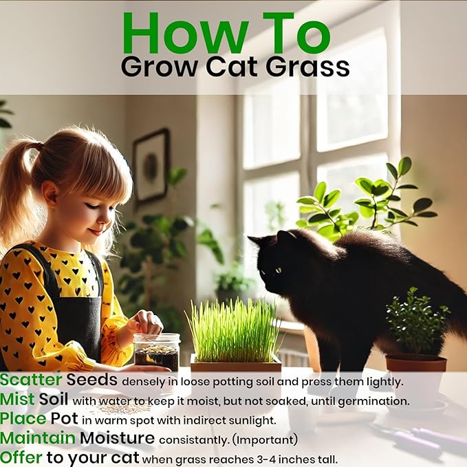 NatureZ Edge Cat Grass Seeds & Catnip Seeds - 3 Pack Variety Kit, Cat Grass for Indoor Cats, Oat & Barley Seeds for Planting, Cat Plant, Indoor Cat Grass Kit, hierba para Gatos