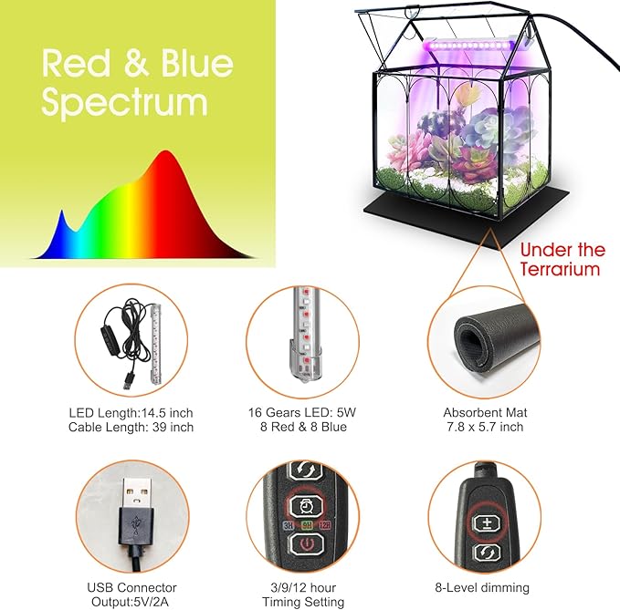Plant Terrarium with Grow Light, Rifny Indoor House Shape Glass Terrarium Kit with Lid, Small Terrarium Jar Planter for Venus Fly Trap Succulent Live Air Plants Decor for Home Office (Without Plants)
