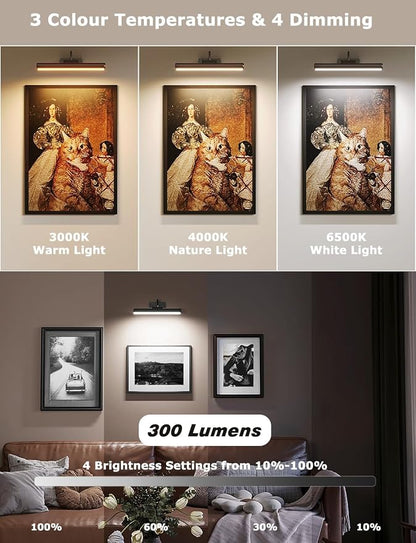 Skairipa Wireless Picture Light - Image 2