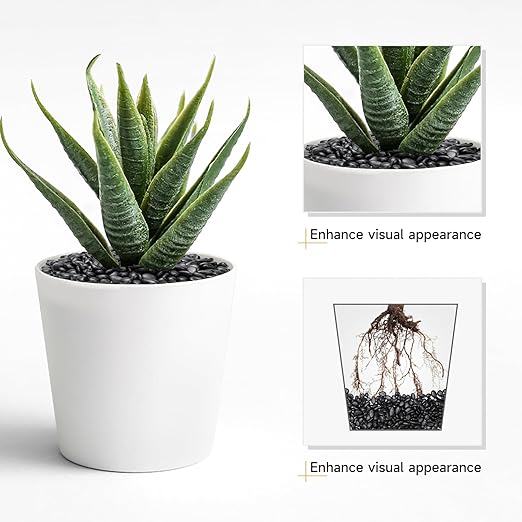 5 lbs Black Pebbles for Indoor Plants, Succulent, Bamboo, Vase, 3/8" Plant Rocks for Pots Indoor, Small River Rocks Decorative Pea Gravel, Highly Polished