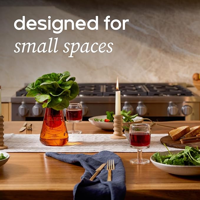 Counterstand Set – Vase Plant for Indoor Edible Garden Kit for Herbs & Lettuce – Small-Space Hydroponic System – Home Decor & Gifting – Without Live Plants