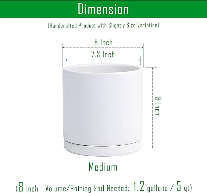 D'vine Dev 8 Inch Ceramic Planter Pot with Drainage Hole and Saucer, Indoor Cylinder Round Planter Pot, White, 94-O-D-1