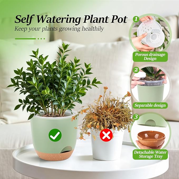 Self Watering Orchid Pots for Indoor Plants,5.8 Inch Macetas para Orqudeas,Flower Pots for Indoor Plants with Holes(Green)