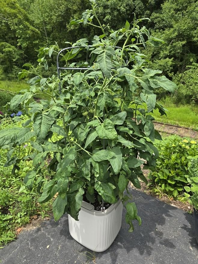 Vego garden Planters for Outdoor & Indoor Plants, Large Plant Pots with Self Watering, 15" Tall Large Plant Pots with Trellis for Flowers Plants Decor, Cream White