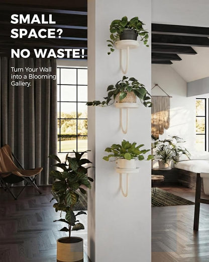 Bamworld Wall Plant Holder Wall Planters - Image 4