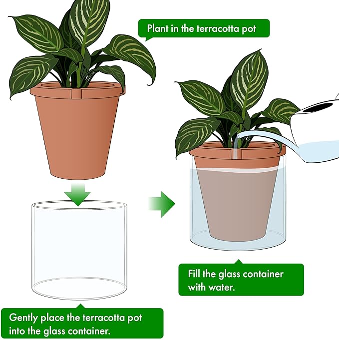 D'vine Dev 10 Inch Design Self Watering Pot for Indoor Plants, Terracotta Planter with Cylinder Glass Cup, Set of 1, 37-X-D-1