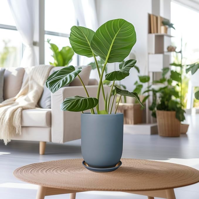 Ceramic Pot for Plants - 8 Inch Plant Pot for Indoor Plants Outdoor Ceramic Planter Large Flower Pot with Drainage Hole and Saucer for Home Garden Decor Gray