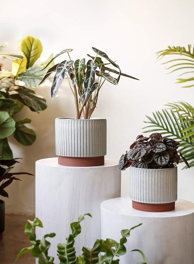 LE TAUCI Ceramic Plant Pots with Drainage Holes, Set of 3, 8+6.7+5.5 Inch Stripe Garden Planter Pots for Outdoor Indoor Plants Flower, Round Succulent Orchid Flower Pot, Reactive Glaze White