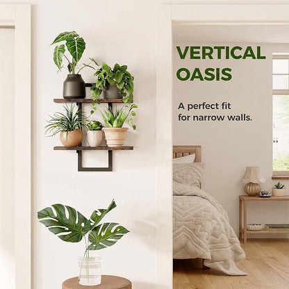 Bamworld Wall Planters for Indoor Plants Window Plant Shelves Vertical Plant - Image 3