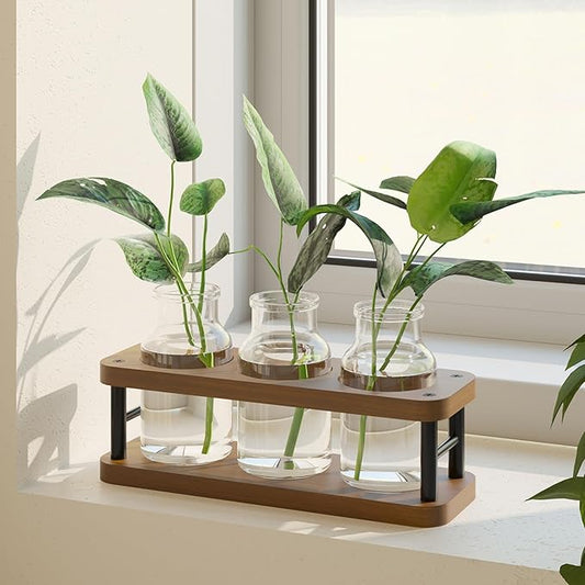 THYGIFTREE Plant Propagation Station with Wooden Stand, Propagation Vases Glass Planters for Indoor Plants Hydroponic Propagating Jars Home Office Decor, Brown