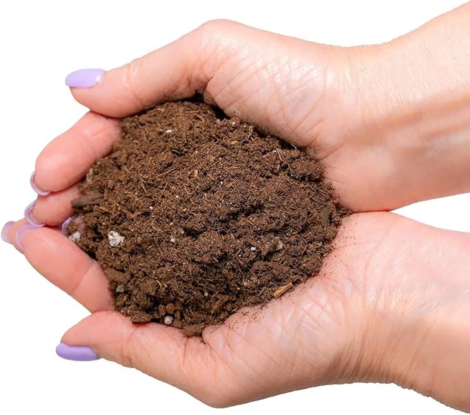 Premium Pothos Potting Soil Mix - Air Cleaning Plant Potting Mix, Soil Mix for Pothos, Parlor Palm, Peace Lily - (1 Quart Bag)