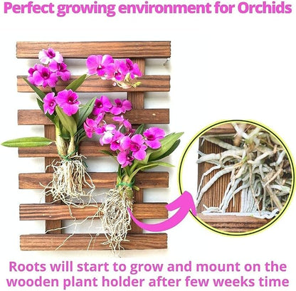 ShopLaLa Wall Planter – Wooden Air Plant Succulent Holder Hanger Indoor Outdoor - Image 5