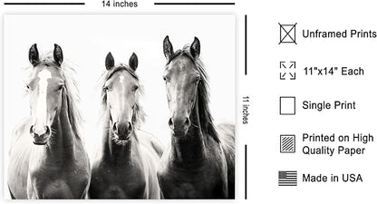 Poster Master Horse Poster - Image 2