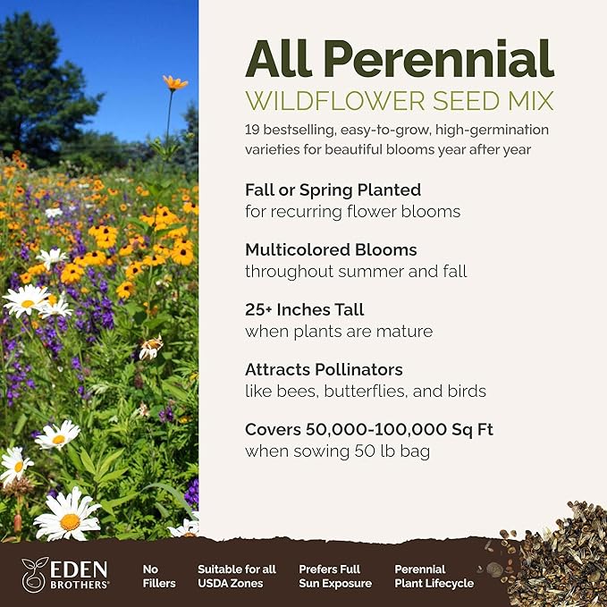 Eden Brothers All Perennial Wildflower Mixed Seeds for Planting, 50 lb, 24,000,000+ Seeds with Lupine, Shasta Daisy | Attracts Pollinators, Plant in Spring or Fall, Zones 3, 4, 5, 6, 7, 8, 9, 10