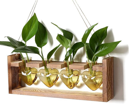 Plant Propagation Stations Heart Plant Terrarium Kit Gift for Women Plant Lover Glass Vases