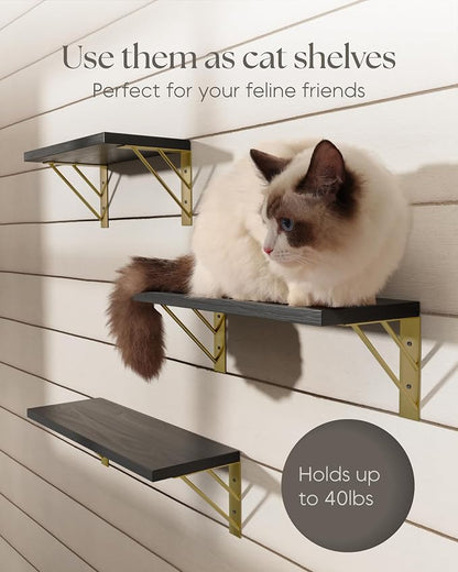 BAYKA Wall Shelves for Bedroom Decor, Floating Shelves for Living Room Kitchen - Image 7