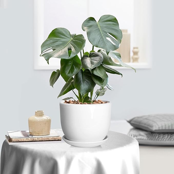 8 Inch Ceramic Planter, Plant Pots with Drainage Hole and Separable Saucer,Indoor-Outdoor Round Succulent Orchid Flower Pot,Indoor pots for Plants(Smooth White,Plant Pot only)