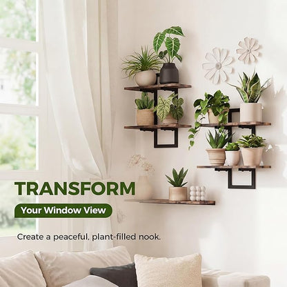 Bamworld Floating Shelves for Wall Planters for Indoor Plants Hanging Shelves - Image 3