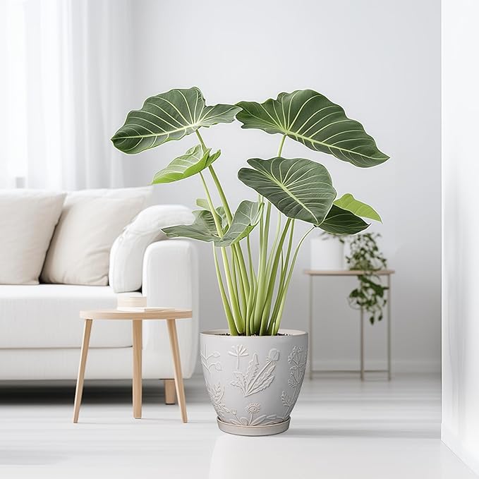 10 Inch Plant Pot Ceramic Planter Pot with Drainage Hole and Saucer Round Planter Large Flower Pot for Indoor Outdoor Plants Home Garden Decor White