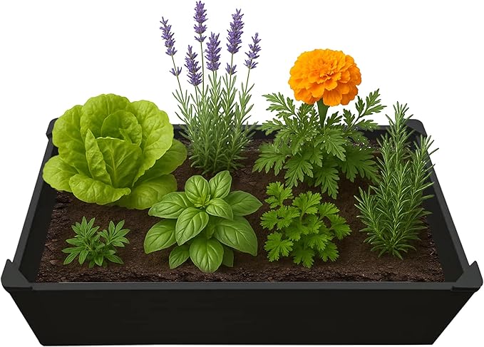 Raised Garden Bed - 2x4 ft Planter Box - Black HDPE - No Tools Needed - DIY Kit for Urban Gardening, Flowers, Herbs & Vegetables - Made in The USA