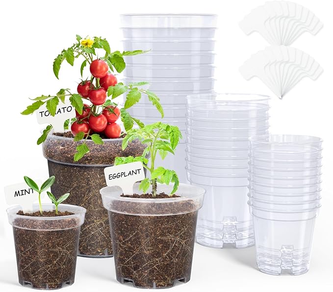 homenote Clear Nursery Pots for Plants,4 Inch Plant Pot for Planting Plastic Seedling with Drainage Holes Seed Starter Flower High Transparency 20 Labels Exclusive Material Excellent Hardness(30 Pack)