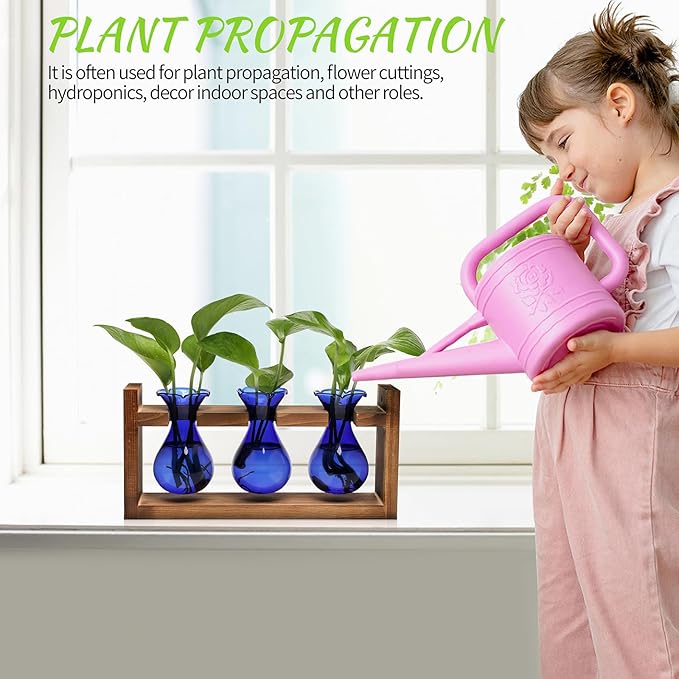 Plant Propagation Station Plant Terrarium Unique Birthday Gifts for Women Plant Lovers Home Office Decor Planter with Wooden Stand - 3 Bulb Glass Vase