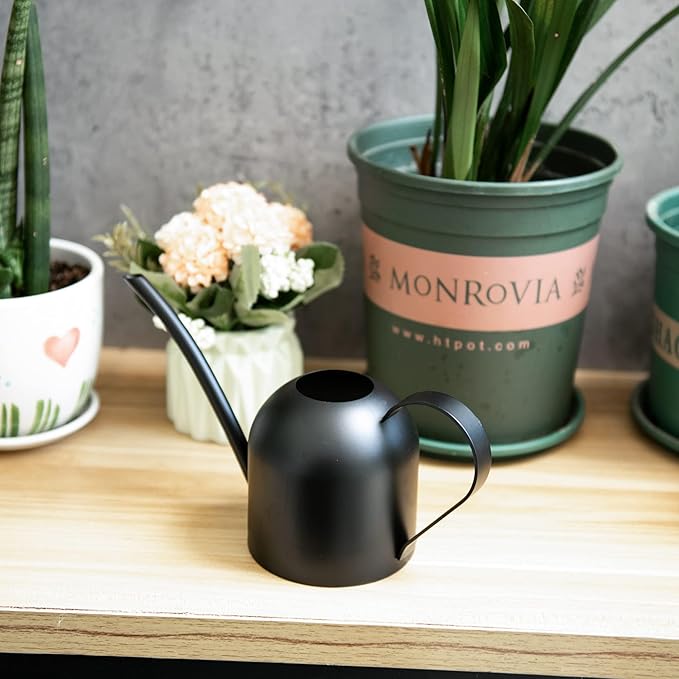IMEEA Small Watering Can for Indoor Plants Stainless Steel Watering Can with Long Spout 15oz/450ml, (Black)
