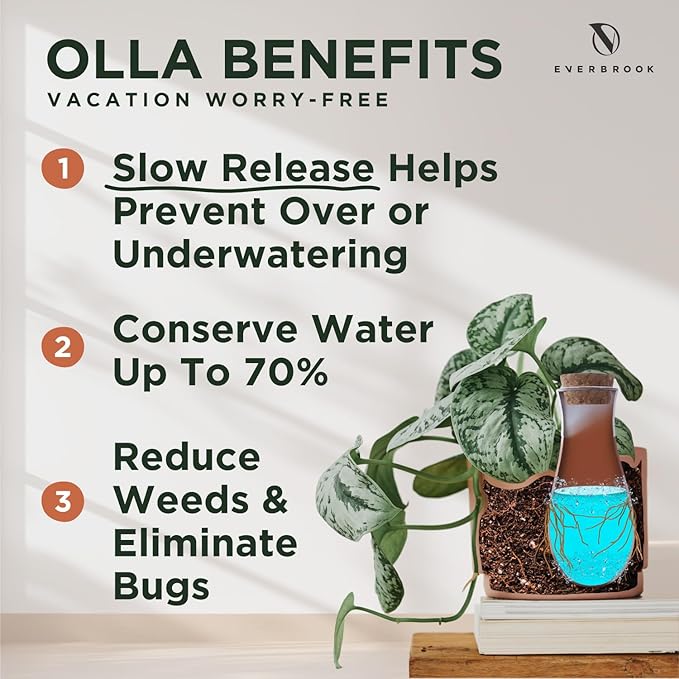 Plant Self Watering Globes - Terracotta Watering Spikes - Slow Release Olla Watering Pots - Drip Irrigiation Olla System