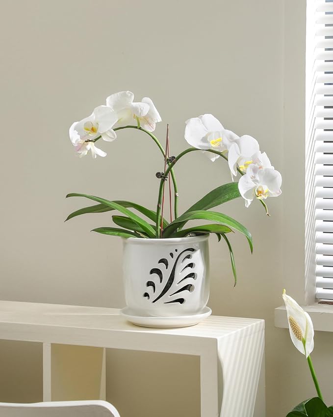Ceramic Orchid Pot, 6 Inch Orchid Pots with Holes and Saucer for Indoor/Outdoor Plants Drainage & Air Circulation, White Orchid Planter for Repotting or New Plants