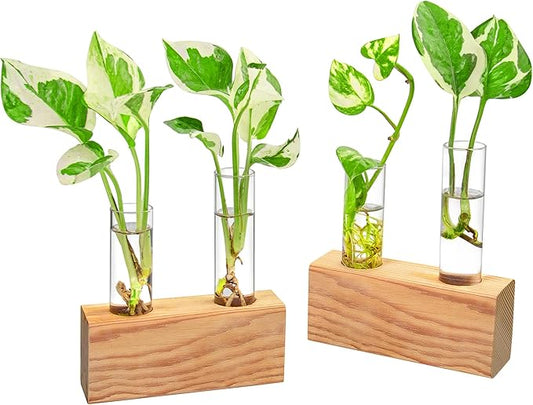 Ivolador Propagation Stations Double Test Tube Plants Terrariums in Wooden Stand Propagation Station for Hydroponic Plants Office Home Decoration
