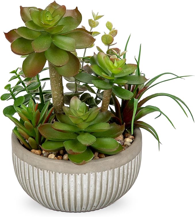 DILATATA Small Faux Plant Assorted Fake Succulents Plants Faux Succulents Arrangement Cement Potted Desk Plants Small Fake Plants for Home Table Office Bathroom Shelf Living Room Decor