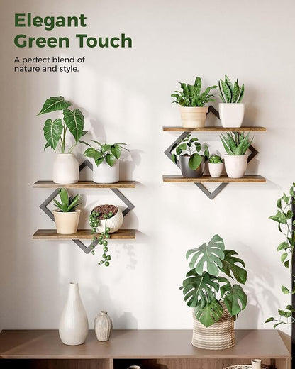 Bamworld Floating Shelves for Wall Planters for Indoor Plants Hanging Shelves - Image 6