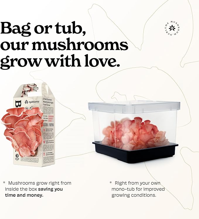 Pink Oyster Mushroom Grow Kit, Grow Your Own Fresh Gourmet Mushrooms at Home, Includes Instructions and Recipes (Pink Oyster)