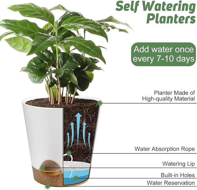 Indoor Self Watering Planters with Drainage Holes and Saucers, 8, 7, 6.5, 6, 5.5, 5 Inches, White, 6 Pots