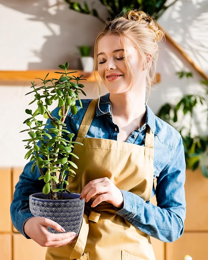 Plant Pots, Flower Pots, Planters for Indoor Plants(6.5+5.5inch), Flower Pots for Indoor Plants with Drainage Hole and Saucer, Ceramic Pots for Plants with Hole Mesh Pad,Reactive Glaze Blue