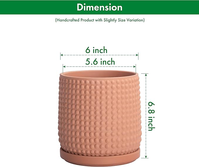 D'vine Dev 6 Inch Terracotta Beaded Planter Pot - Flower Pot with Drainage Hole and Saucer for Indoor Succulent Plants or Flowers, Terracotta, 27-C-X-7