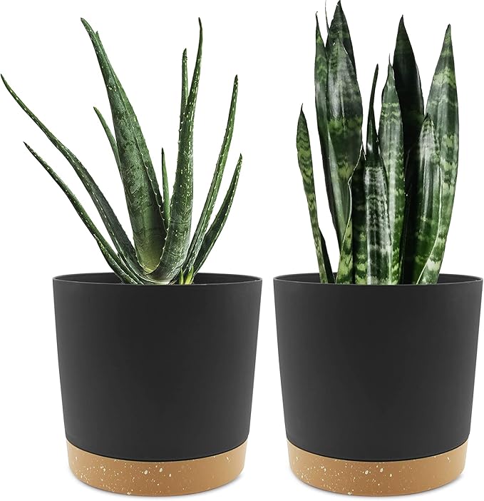 QCQHDU 8 inch Plant Pot, 2 Pack Planters for Indoor Plants with Drainage Holes & Saucer, Outdoor Flower Pots Home Garden Modern Decor