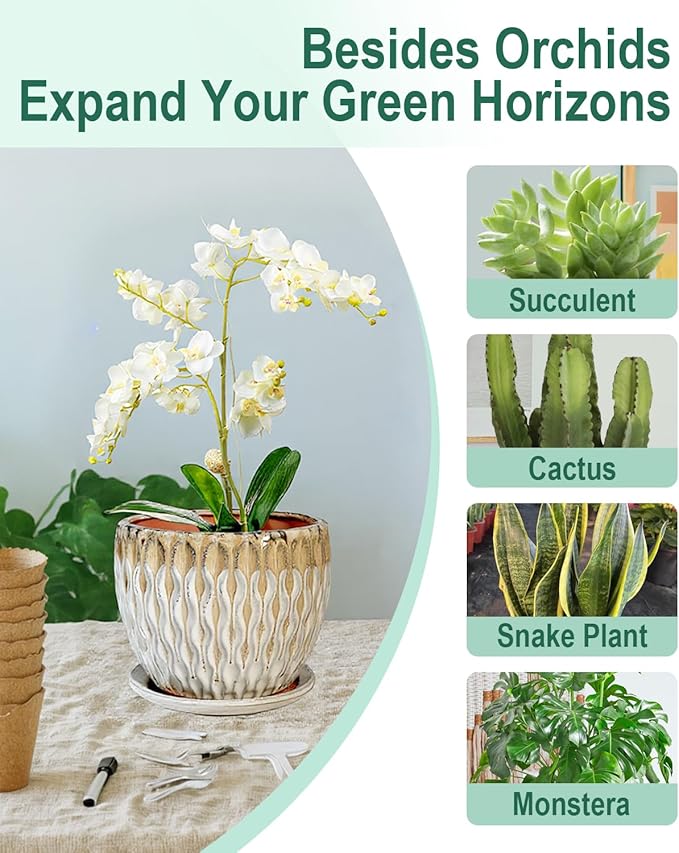 vensovo 7.5 Inch Ceramic Plant Pot with Drainage Holes and Saucer - Large Round Orchid Pot for Indoor Repotting, Ceramic Planter Maintain Air Circulation, Yellow