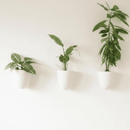 Make Good PlantPod Luxe Self-Watering Wall Planters by MakeGood