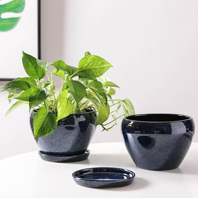 vicrays Ceramic Plant Pots Indoor - 6.5 Inch Planter Pot with Drainage Hole and Saucer for Succulent Orchid Flower Herbs Cactus - Ideal for Gardening Home Desktop Office Decor - Blue