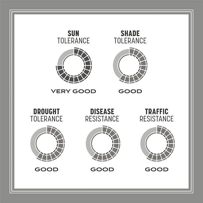 Pennington Contractors Grass Seed Mix Central 20 lb