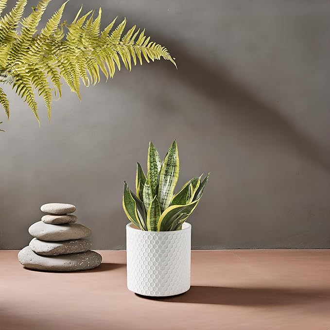 Docrin Ceramic Planters Indoor, 8 Inch Plant Pot with Drainage Holes for Home/Office - White Honeycomb