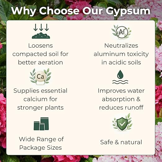 Gypsum for Soil - Calcium for Plants - Gypsum Fertilizer for Gardening, Lawn & Vegetables - Calcium for Garden (12 oz - 0.75 lb.)
